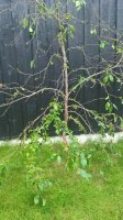 WP_20190907_15_06_48_Pro.jpg