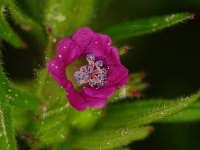 DSC04414-Exposure (1024x771).jpg