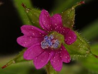 DSC04430-Exposure (1024x768).jpg