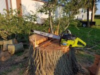 20160803_193028.jpg