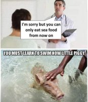 879E069D-7E52-4E0F-A09A-A44AC241053E.jpeg