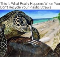 52703.jpeg