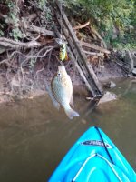 20190913_184134.jpg