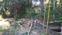 20190914_181501.jpg