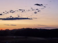 20190919_191633.jpg