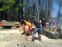 chainsaws unite 049.jpg