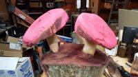 20160501_130848.jpg