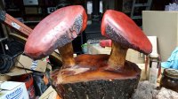 20160501_161917.jpg