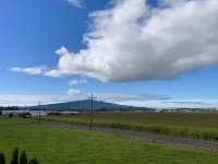 AAF60269-0E52-4CC8-ABE9-6C4B8880C203.jpeg