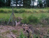 IMG_20190923_082450~2.jpg