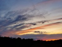 20190925_185423.jpg
