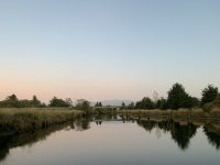 F3AFA92A-8B6A-41B7-864B-CF64701770F0.jpeg