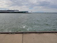 20190928_132140_HDR(1).jpg