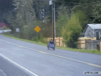 giphy (12).gif