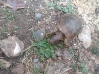 20191003_084314.jpg