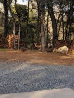 IMG_20190930_170428.jpg