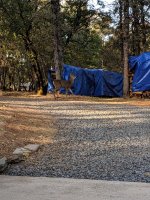 IMG_20190930_170111.jpg