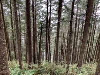 0D596735-8BB4-412E-AD13-DE37952023D7.jpeg