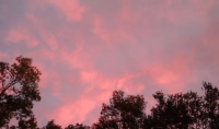 Screen Shot 2019-10-10 at 8.32.52 AM.png
