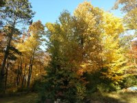 IMG_20191009_163944637.jpg