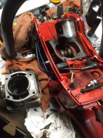 D3AD2952-4F7C-448D-8D33-7180518E8344.jpeg D3AD2952-4F7C-448D-8D33-7180518E8344.jpeg