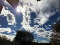 03C820C6-AD9C-409A-9F13-47BEB044EEBB.jpeg