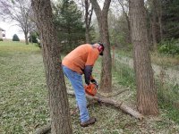 Wood Doctor bucking.jpg