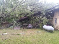 20190521_082030[1].jpg