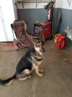 20180303_150247.jpg