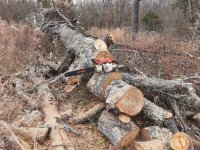 20191120_133703[1].jpg