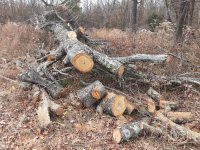 20191120_132555[1].jpg