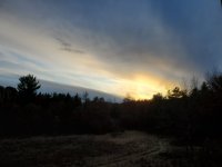 20191124_155658.jpg
