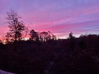 20191123_065003.jpg