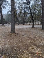 IMG_20191126_153335.jpg