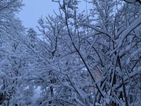 14977F14-3A3B-4860-AE95-D51E5BBD8B75.jpeg