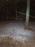 IMG_20191126_173311.jpg