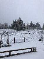 73078F3B-2D7D-4E51-8AA5-A4F59BD4E2E2.jpeg