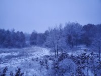 20191127_065213.jpg