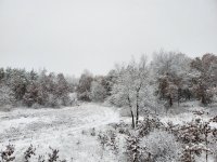 20191127_080939.jpg