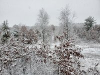 20191127_080950.jpg