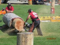IMG_0260.JPG