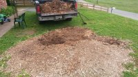 20160509_120959.jpg