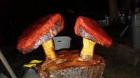 20160510_210824.jpg