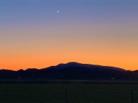 20FEAA54-1365-47E3-AF55-D1F61A2B24BF.jpeg