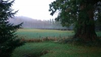 DSC_2791.JPG