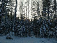 IMG_20191202_161407954.jpg