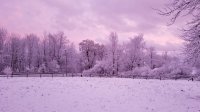 20191107_165130.jpg