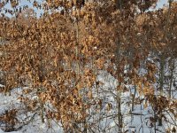 20191207_104428.jpg