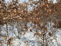 20191207_104432.jpg