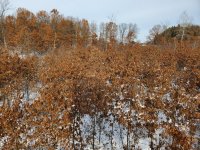 20191207_104834.jpg
